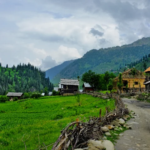 Hamlam Resort