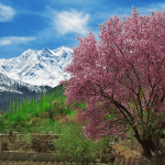 skardu and hunza by air